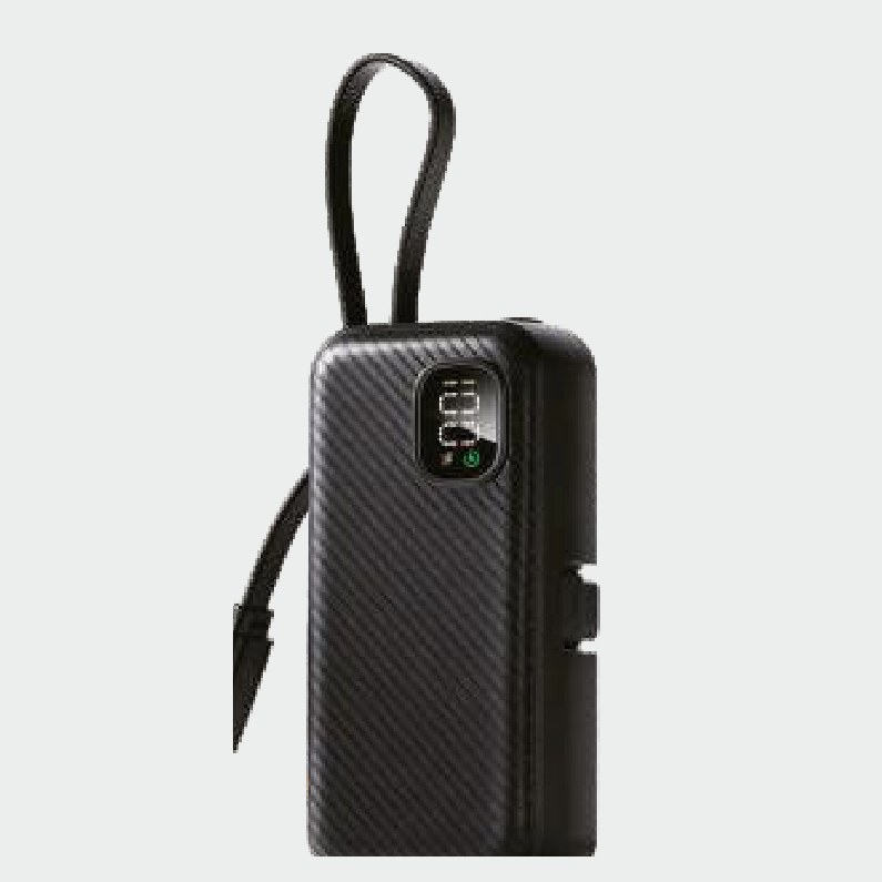 Panther Force 22.5W 4000mAh Mini Power Bank with In-Built Cable