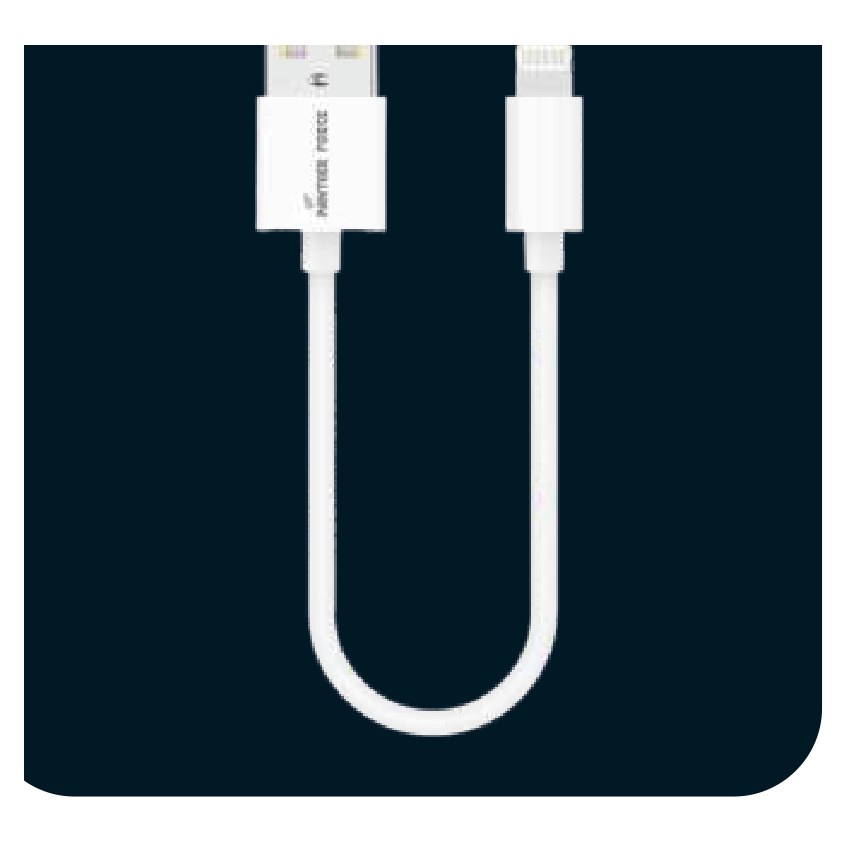 Panther Force 20cm Data Cable USB to Apple