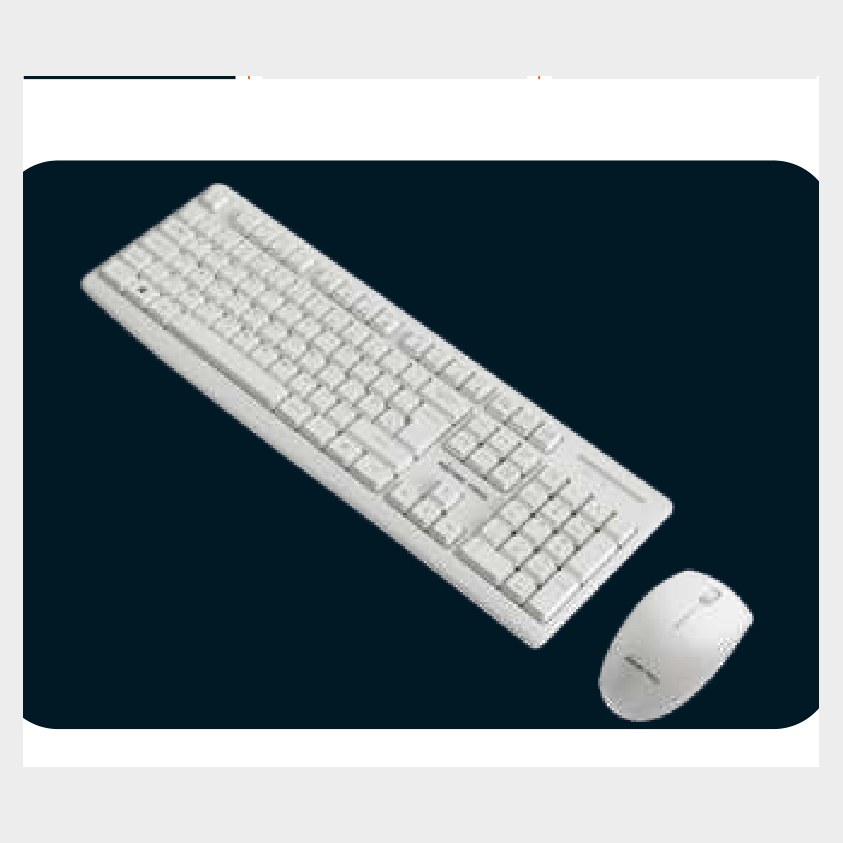 Panther Force Wireless Keyboard & Mouse Combo – White