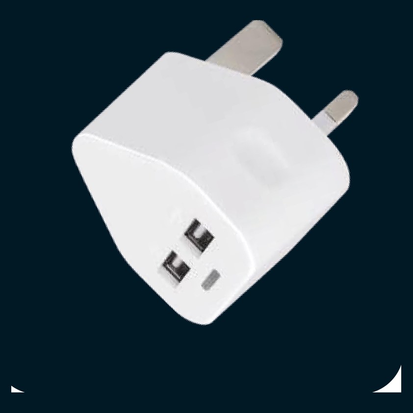 Panther Force 2.1A Dual USB Plug